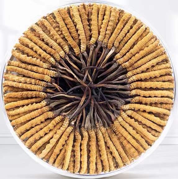 银州冬虫夏草回收